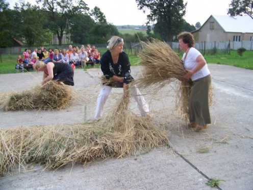 zdjęcie do artykułu